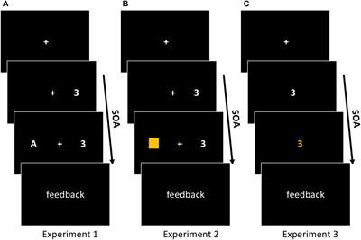 Dual-Tasking in the Near-Hand Space: Effects of Stimulus-Hand Proximity on Between-Task Shifts in the Psychological Refractory Period Paradigm